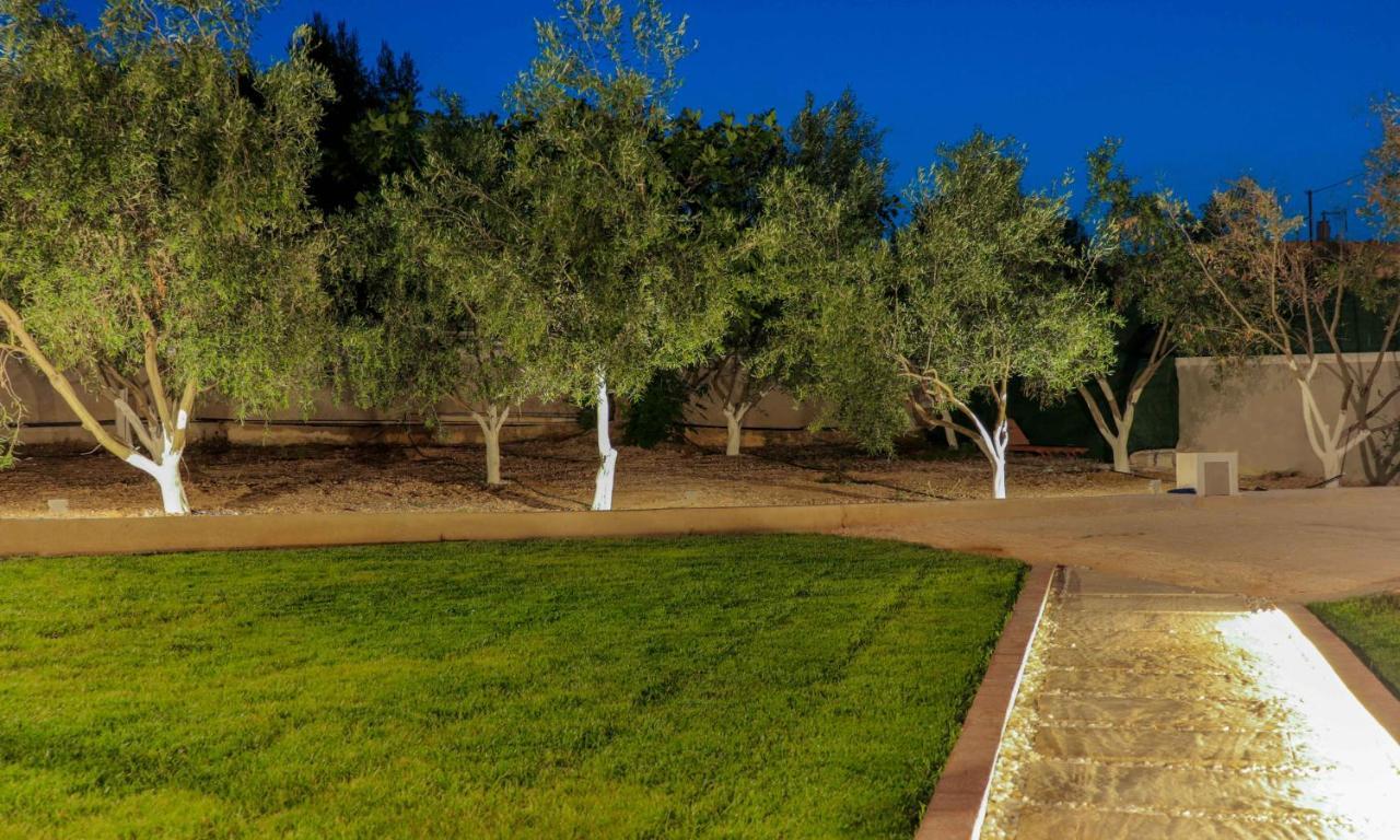 Spitakia-Cozy & Comfy Apartments 10Minutes From The Airport Artemida  Buitenkant foto